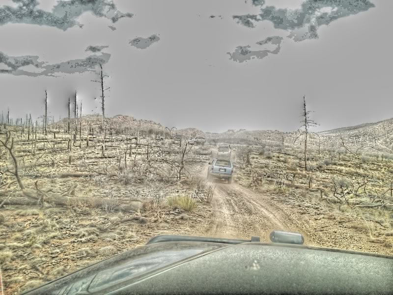 metberry1_zpsa4a9564a_467e590f086d07c3e71e943ffefeef5cf0d004fd.jpg