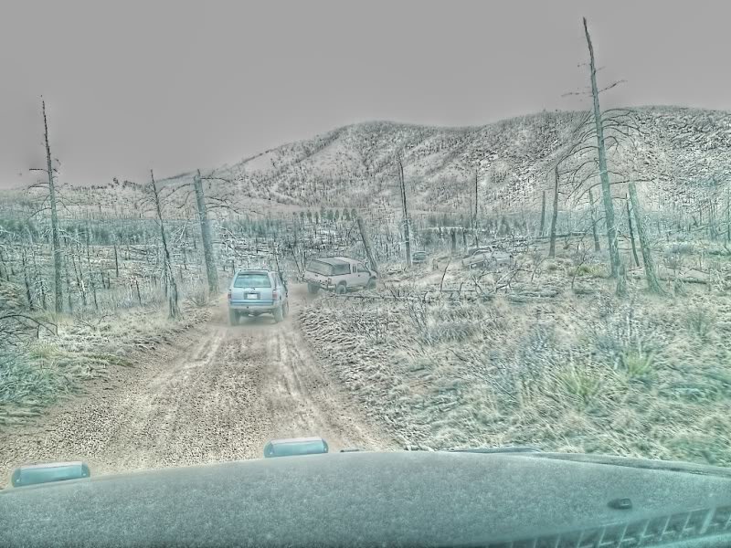 metberry2_zps7152f721_17c73535c984c56119d69d625ec9086069c50510.jpg