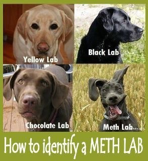 MethLab.jpg