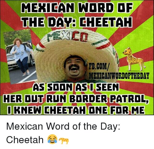 mexican-word-of-the-day-cheetah-fb-com-mexican-worioftheday-as-240729.jpg