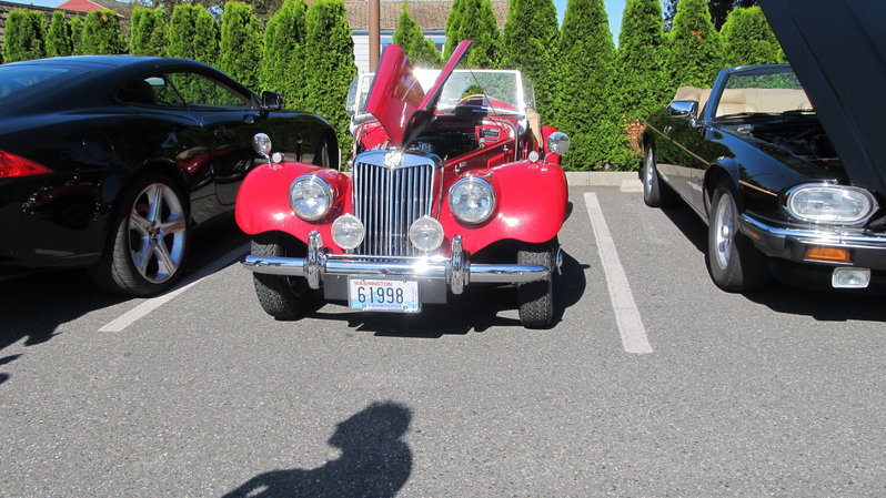 MG5.jpg