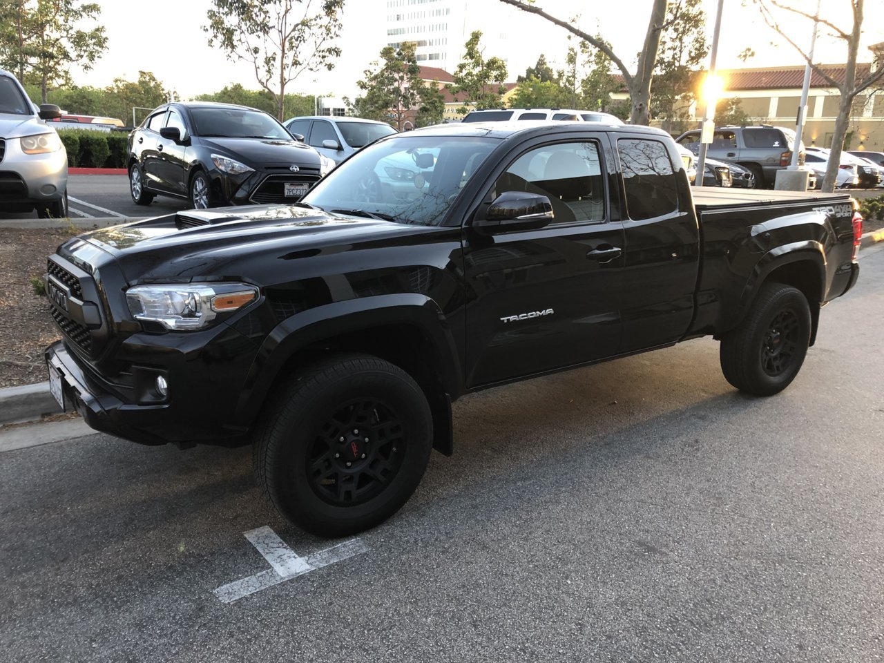 Mi Taco 1.jpg