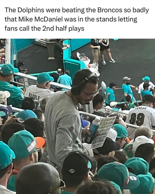 miami.jpg
