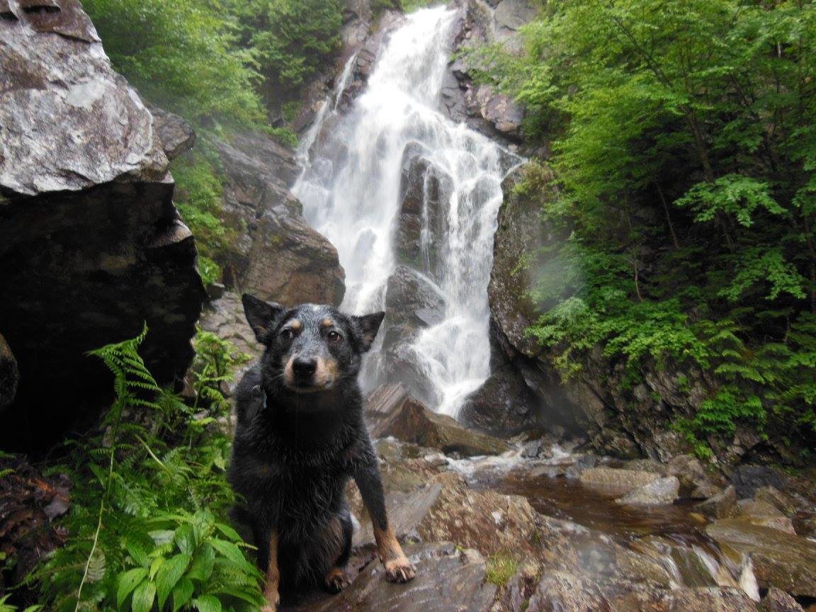 Mick angel falls.jpg