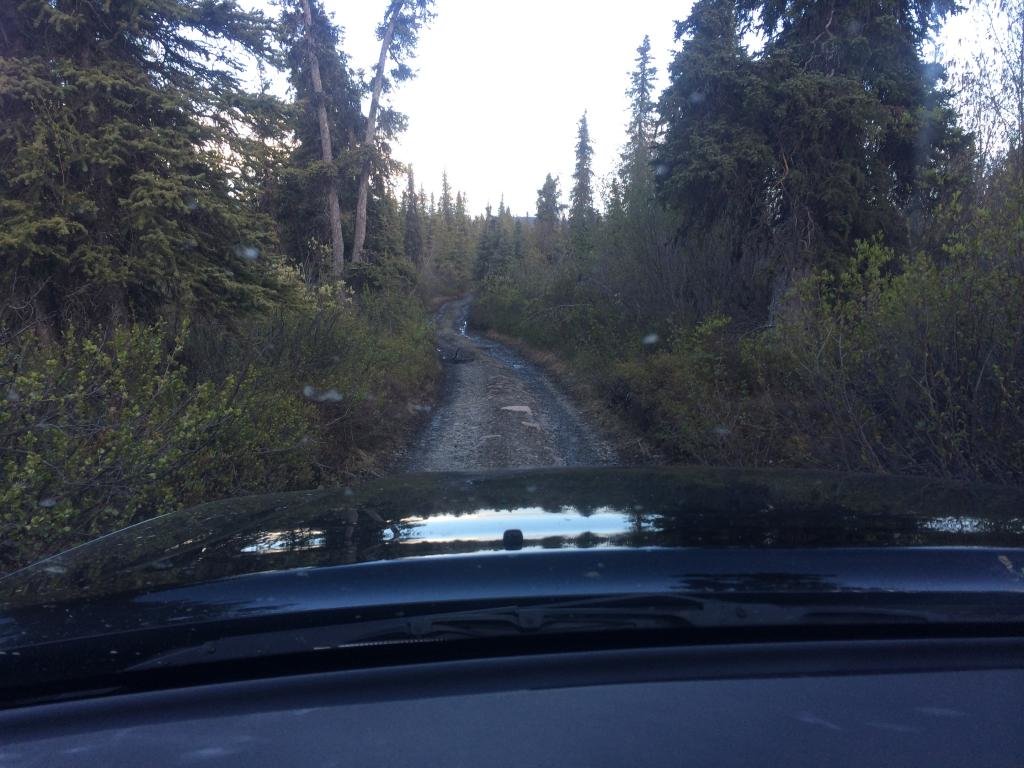 MiddleForkTrail4_zps0942f779_bfc6306b729595f8424319c5e8f88f08650abef3.jpg