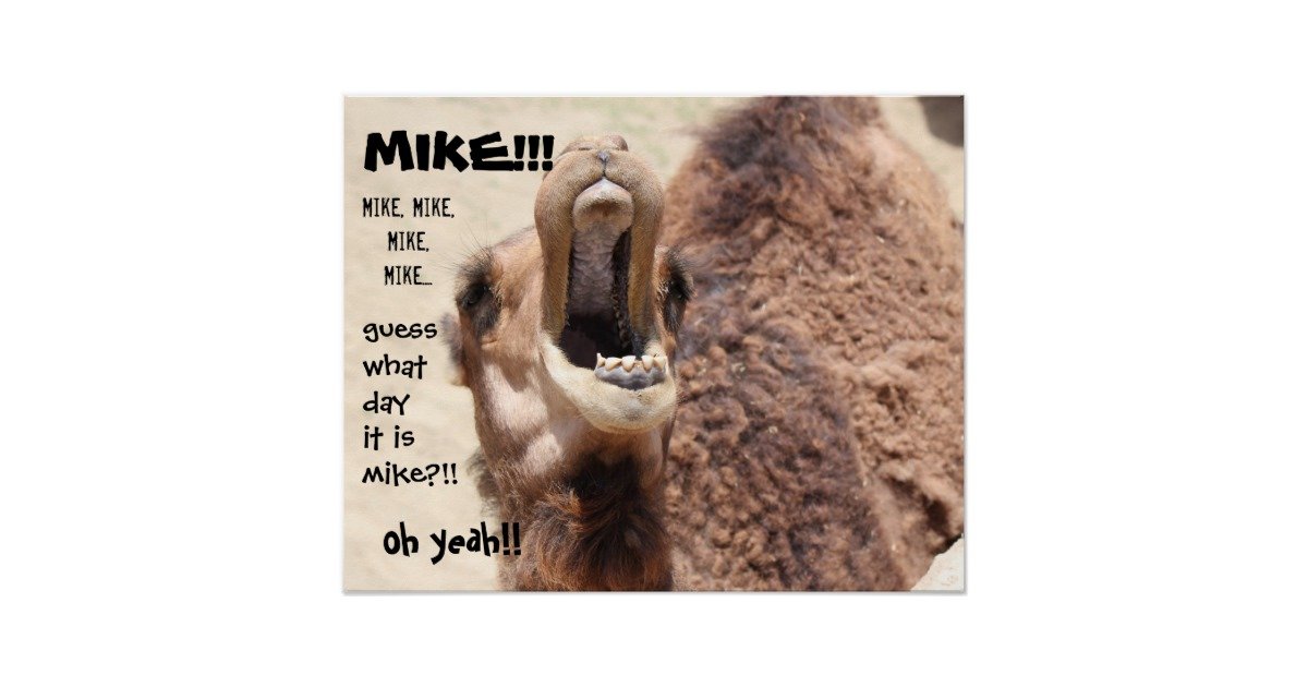 Mike.jpg