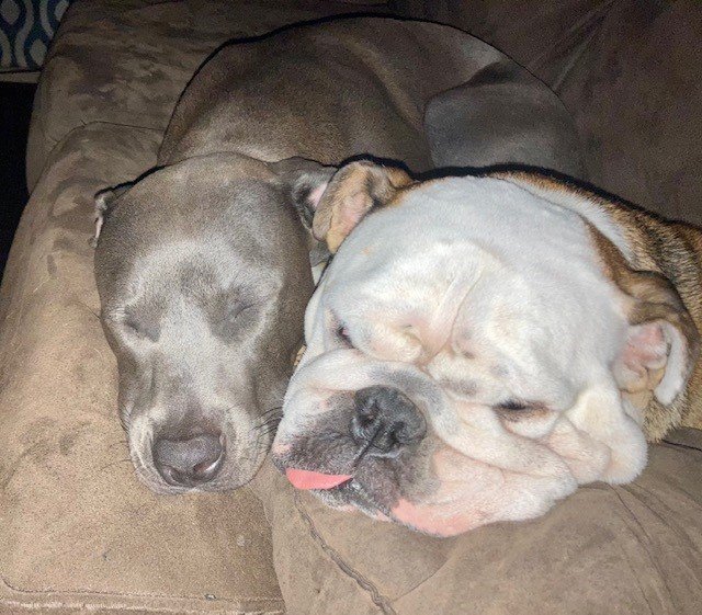 Mike n Baloo.jpg