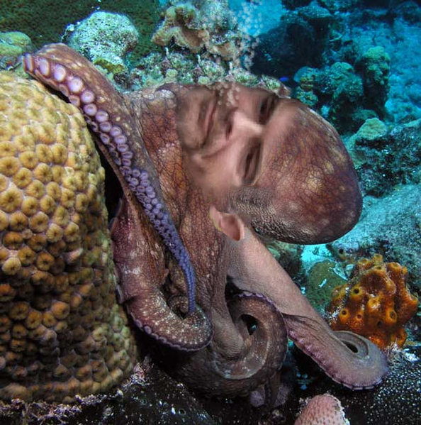 miketopus.jpg