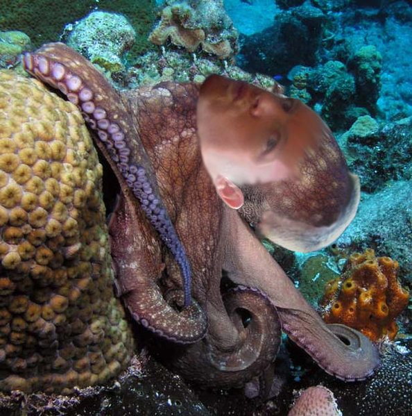 miketopus.jpg