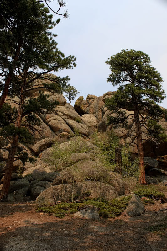 MillerRock6-5-11-44_5b719cca771dc3713dd458cac515f96d77718cd3.jpg