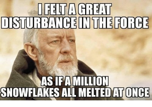 million snowflakes.jpg