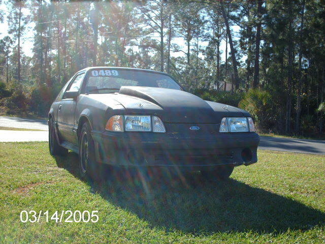 mine002_348bd2544675d6387aa1f803217a37c348d691ea.jpg