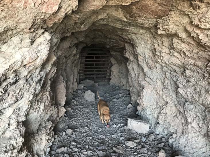 mine_shaft.jpg