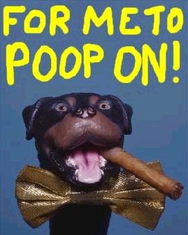 mini-poop.jpg