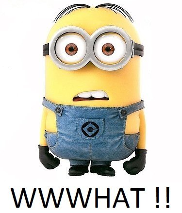 minion.jpg