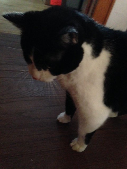 Minnie2poop.jpg