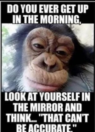 mirror.jpg