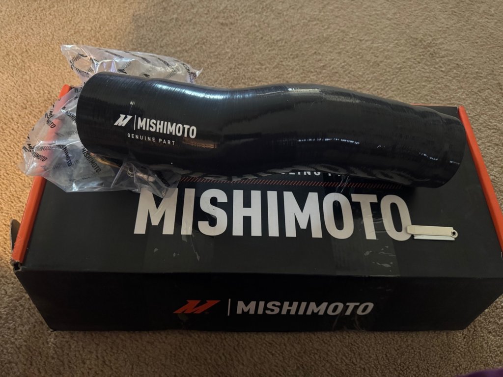 mishi.jpg