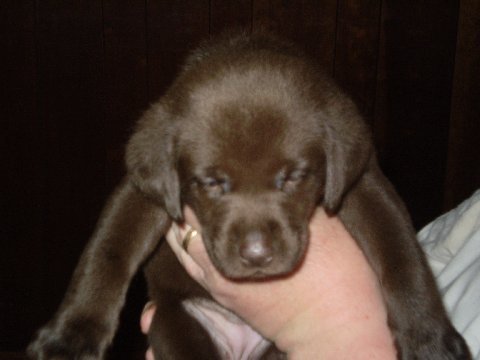 Miss Orange - 5 weeks.jpg