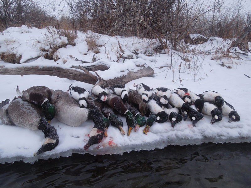 Missouri River Duck Hunting 8 JAN 16 010.jpg