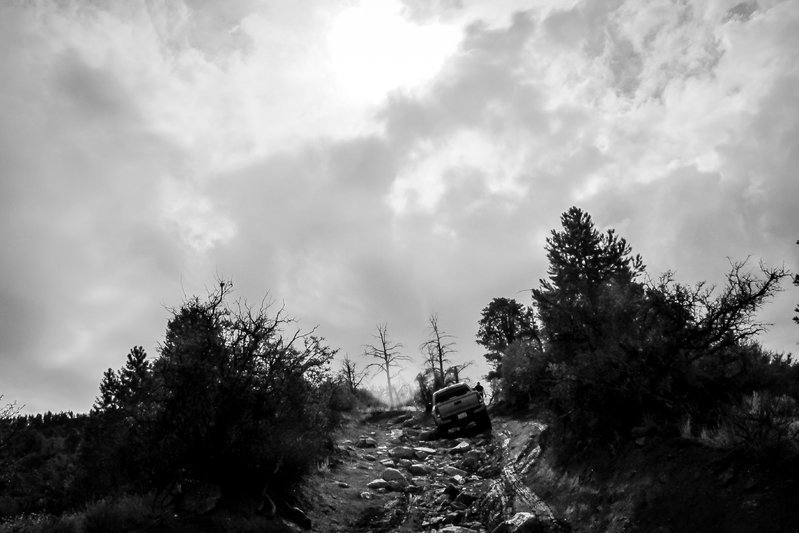 MJT-63.jpg
