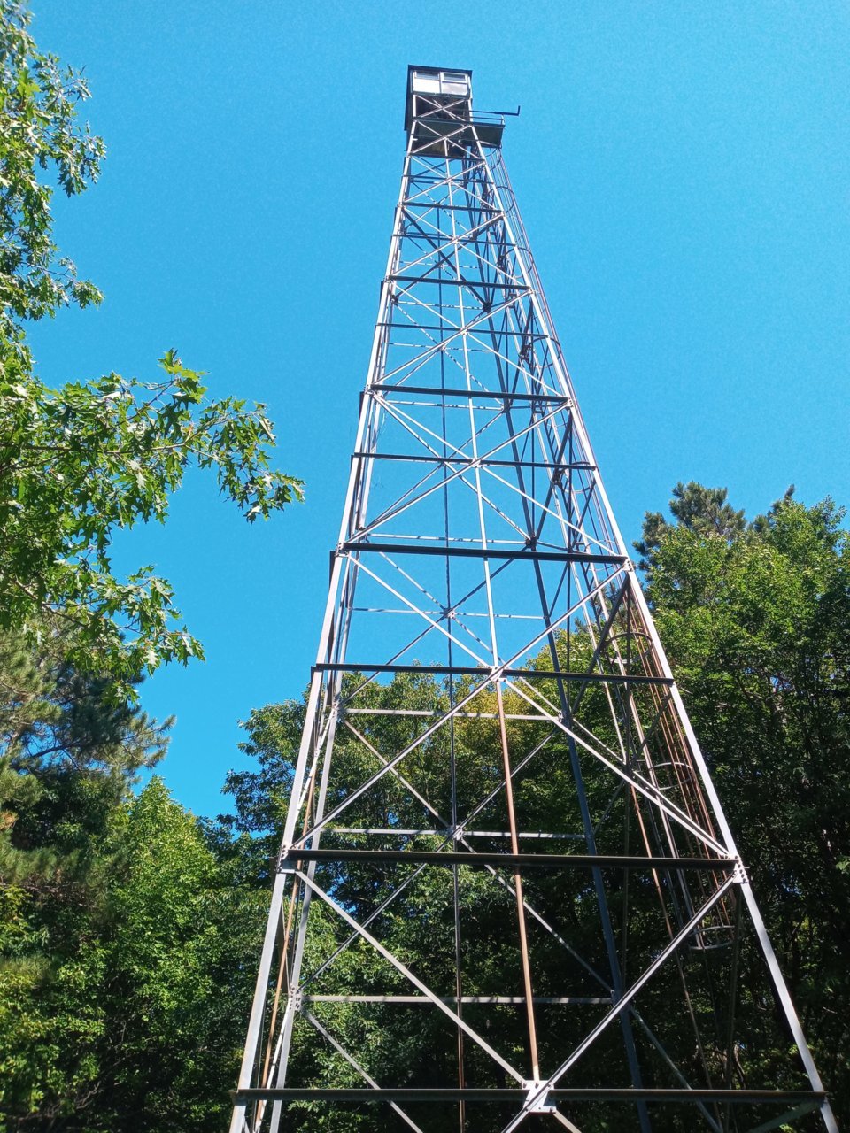 Mnt Whittlesey summint tower.jpg