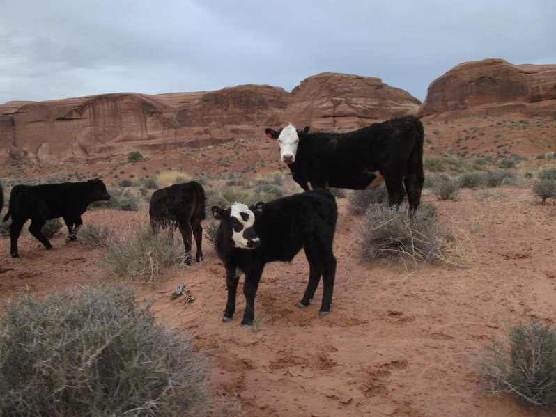MOAB 2011 7 Mile 033.jpg