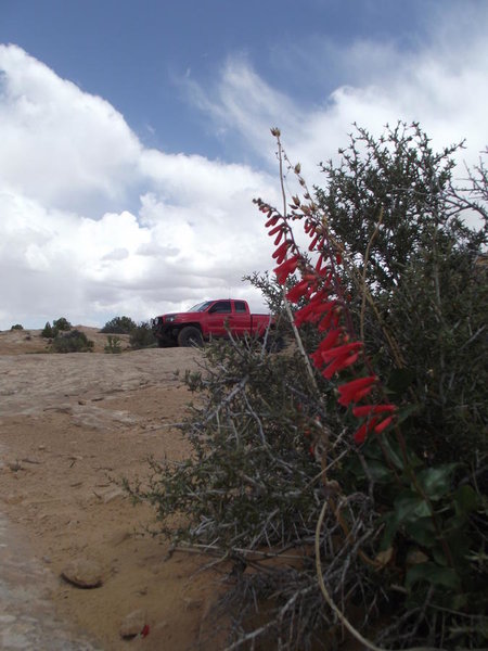MOAB 2011 Fins 013.jpg
