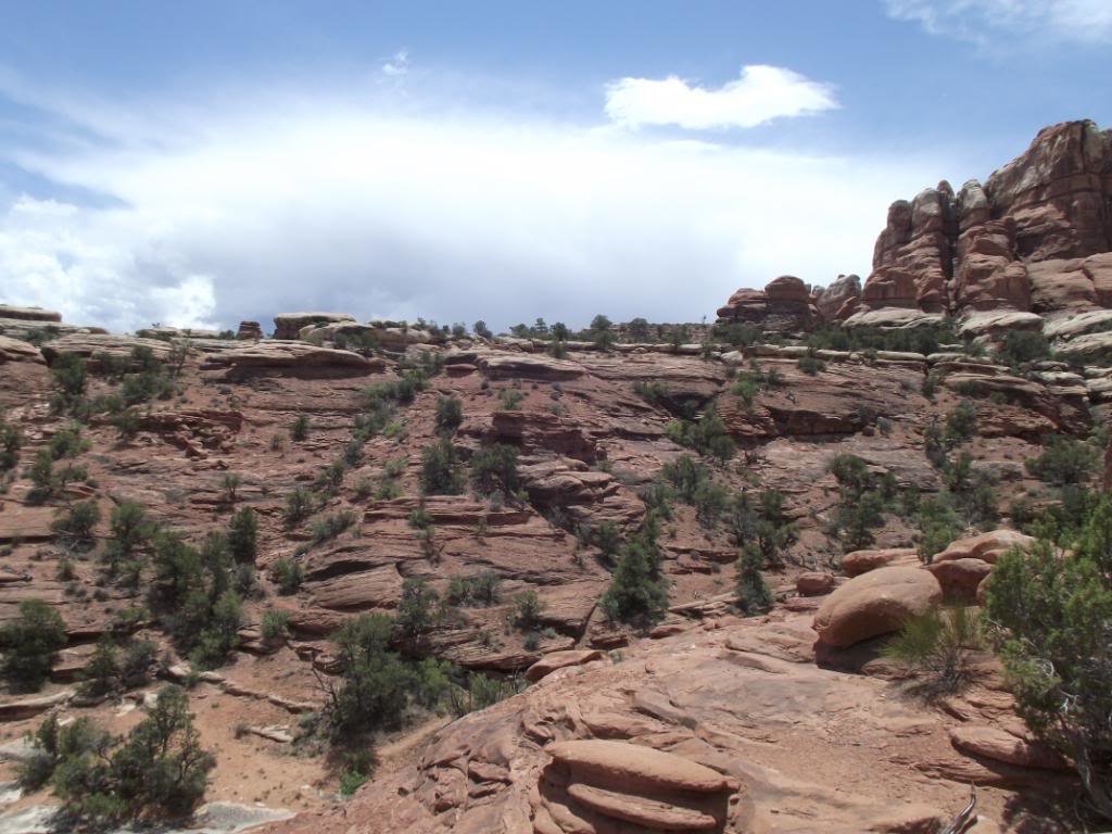 MOAB2011ElephantHill008_c6dda9b967949f54c40cdc9da4b6606279c9ef73.jpg