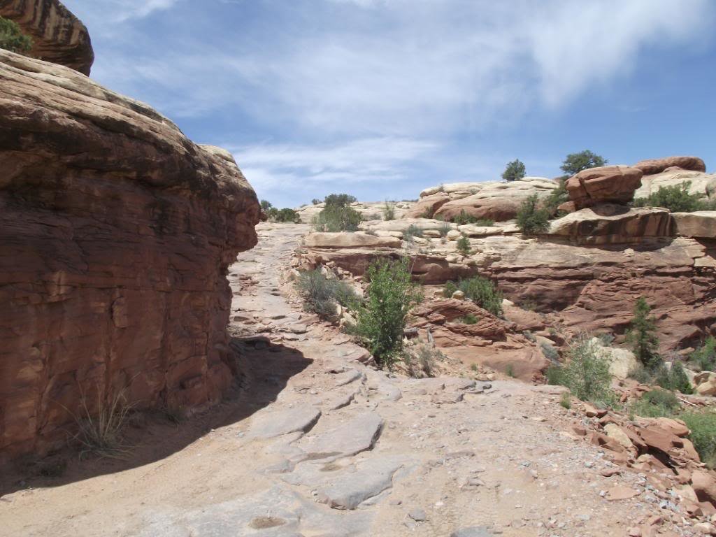 MOAB2011ElephantHill010_bf4a022adaf85ff30bc3597f3fb64c33099d8770.jpg