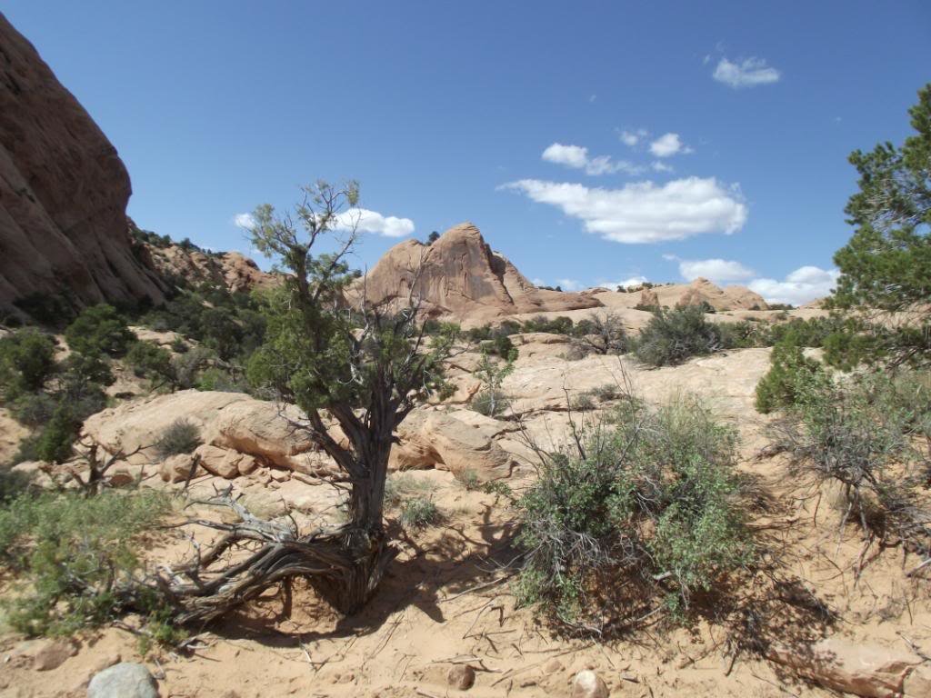 MOAB2011SteelBender039_74e222e789c63671e3079017e67657276d311243.jpg