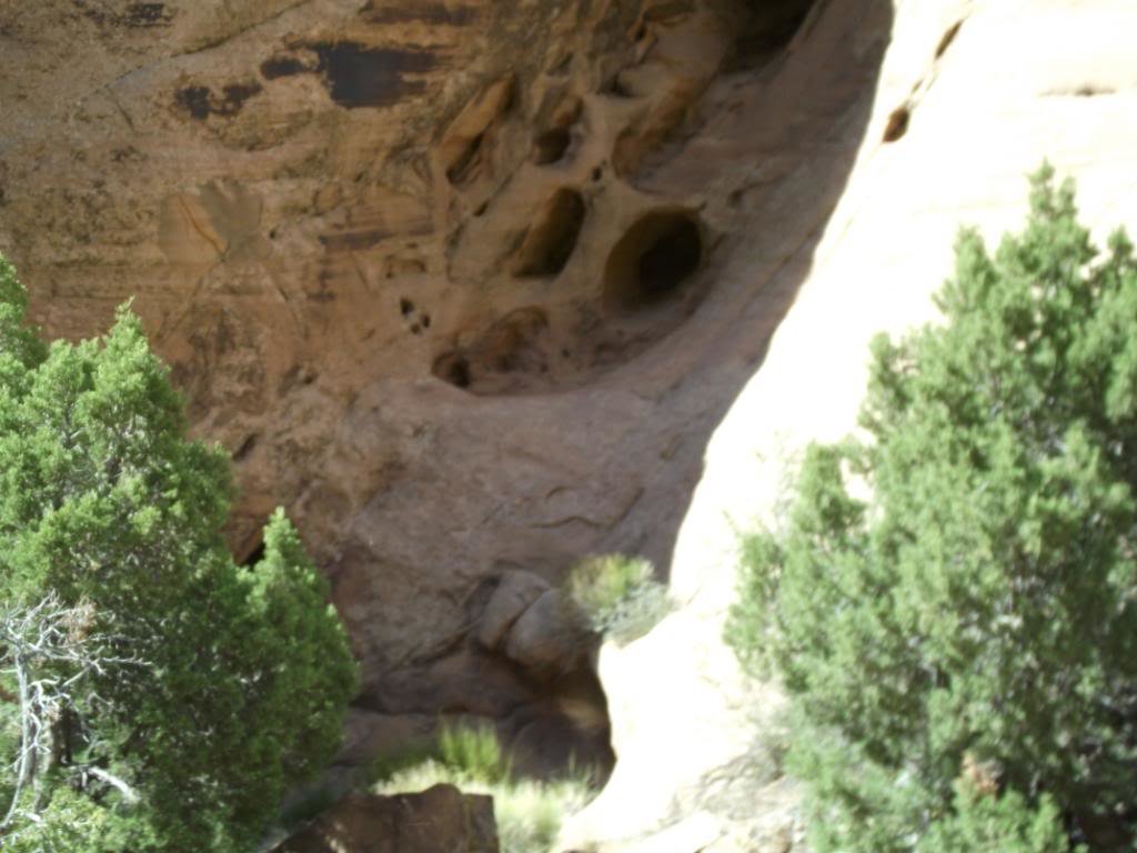 MOAB2011SteelBender054_fa0c15617f6159fa09235735e6ba436bc6fb2382.jpg