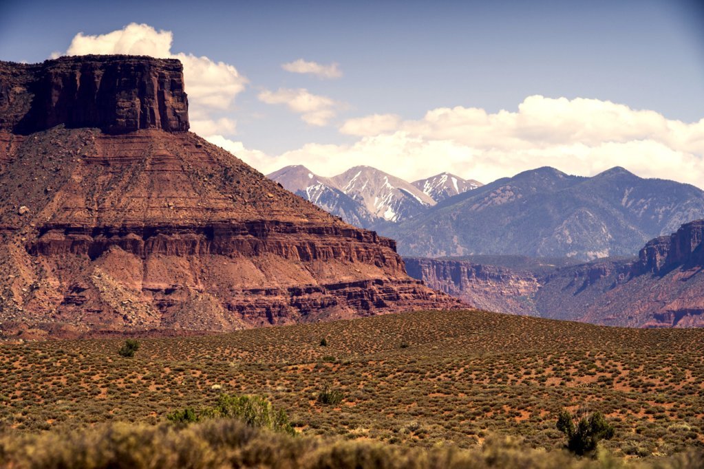 moabagain0001.jpg