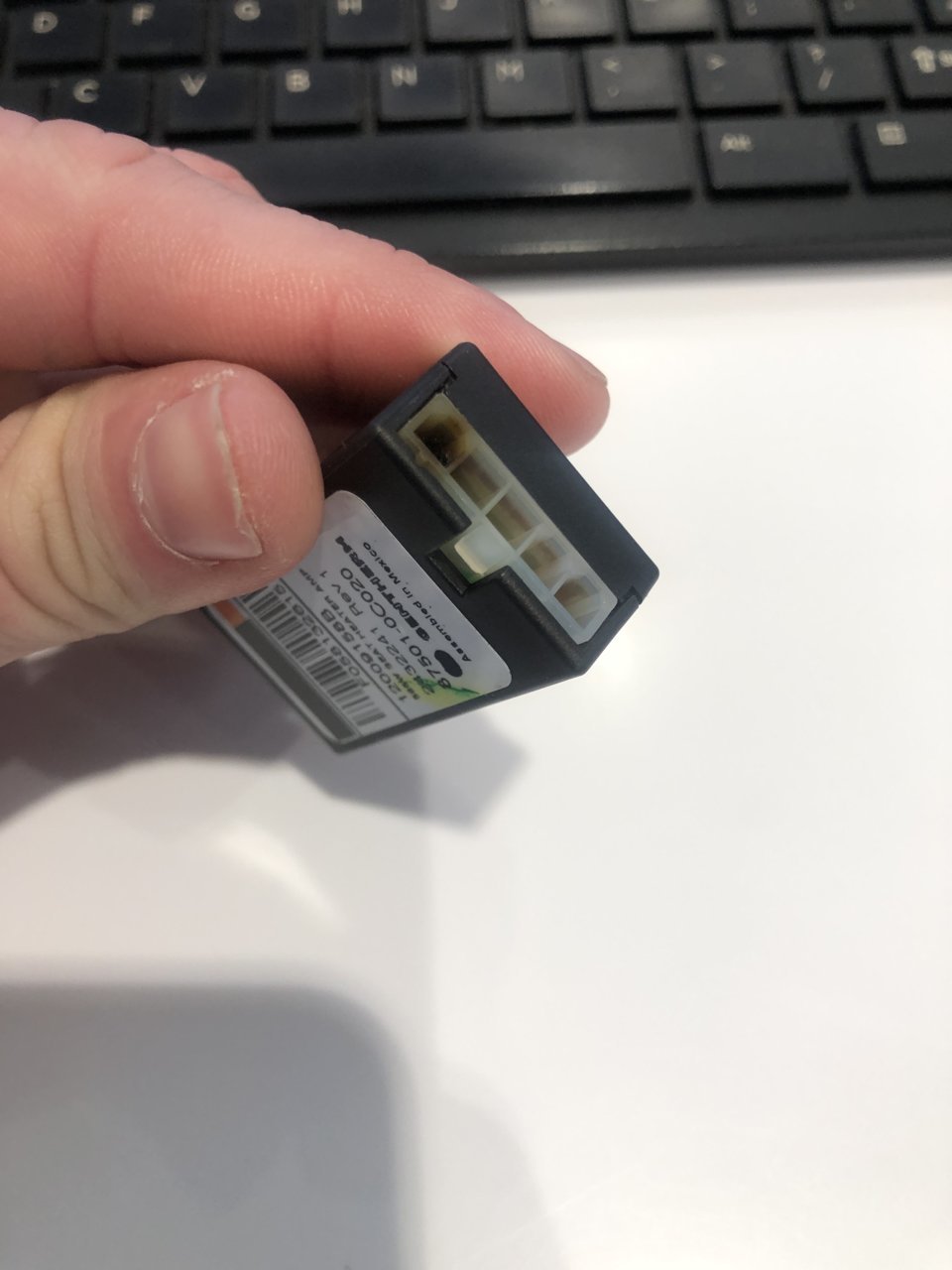 module.jpg