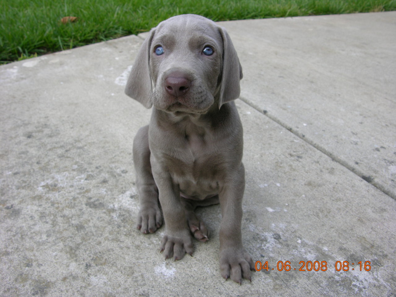 Mogli's Pics 022.jpg