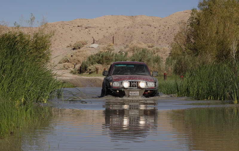 Mojave-092008-0196a_2b0d94fc00d45085ff33680a48981f42b2403f17.jpg