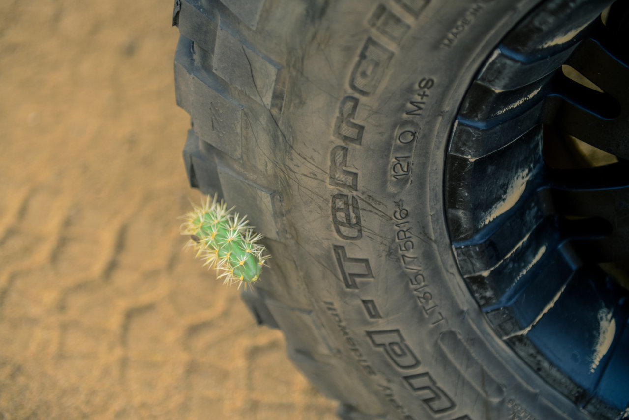 MOJAVE RD_2018-26.jpg