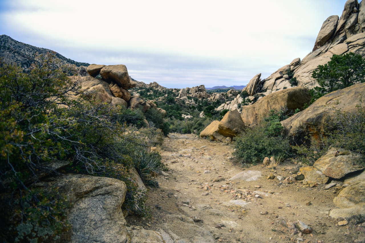 MOJAVE RD_2018-40.jpg
