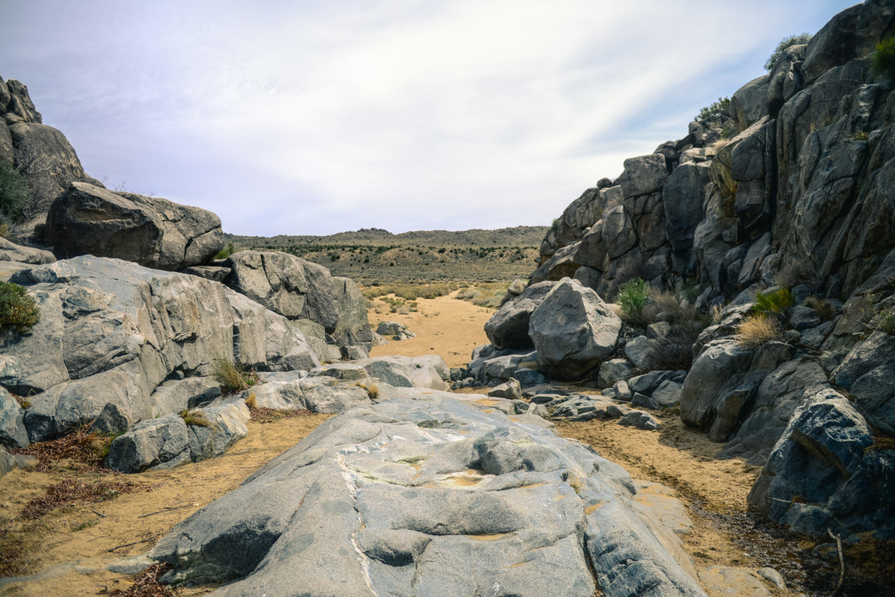 MOJAVE RD_2018-54.jpg