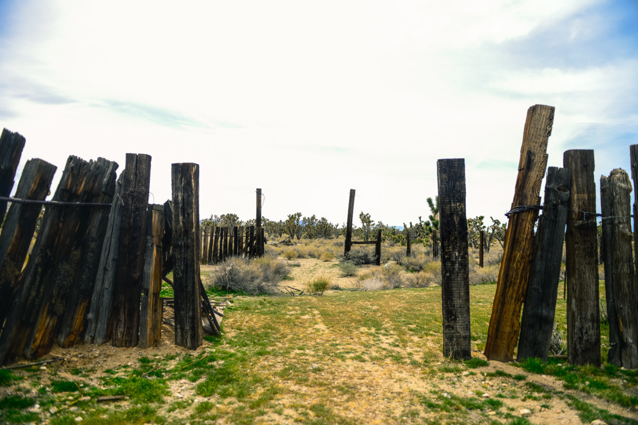 MOJAVE RD_2018-63.jpg