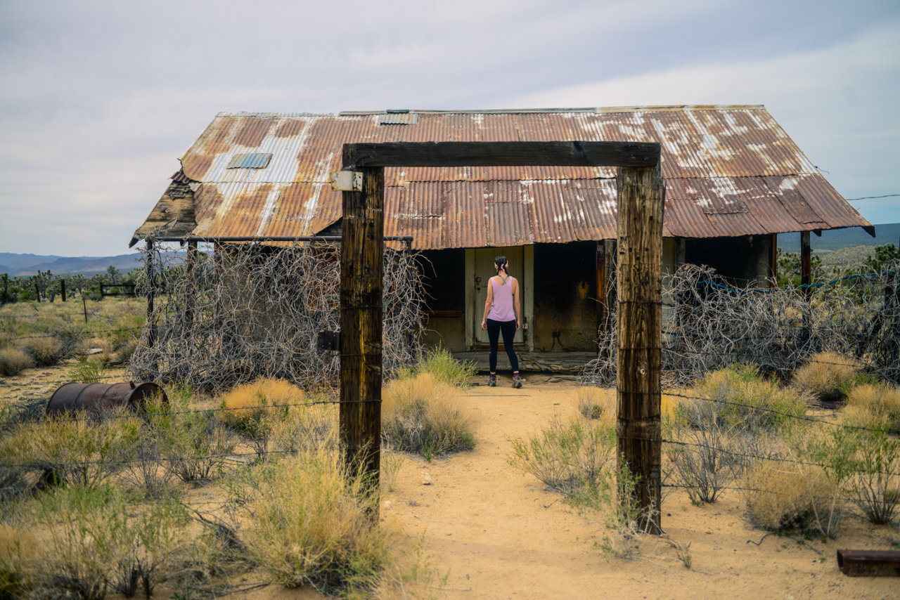 MOJAVE RD_2018-77.jpg