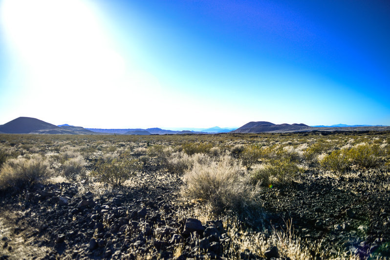 mojave road_TW-114.jpg