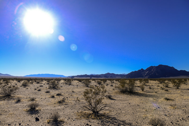 mojave road_TW-128.jpg