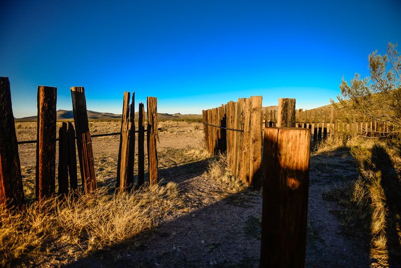 mojave road_TW-36.jpg