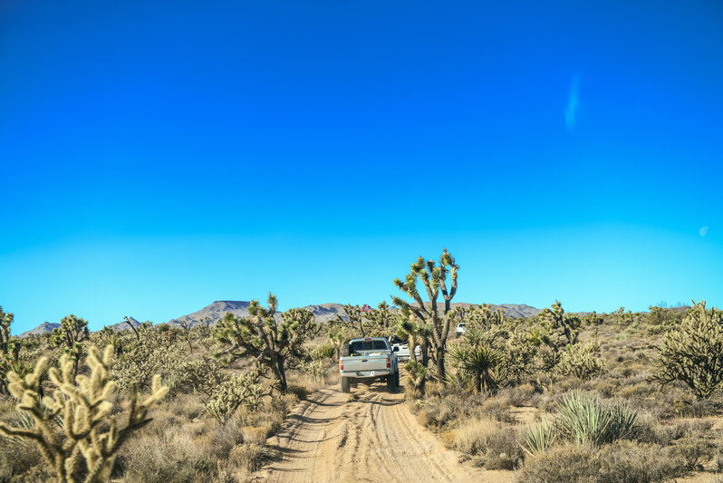 mojave road_TW-56.jpg