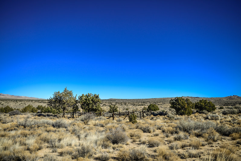 mojave road_TW-75.jpg