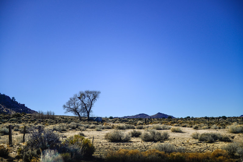 mojave road_TW-87.jpg