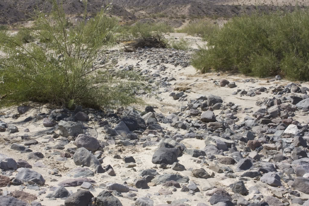 Mojave-Run_09162011_032_c98ed67c966866c94aaf51bda808a15fc6e58c42.jpg