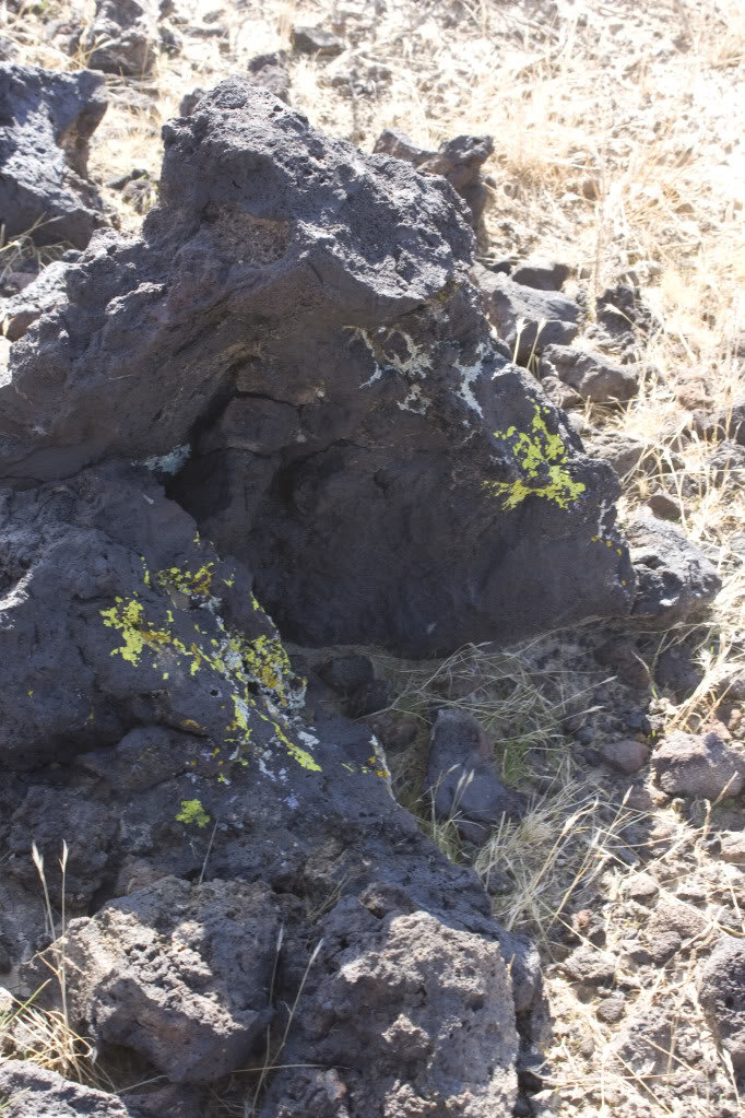 Mojave-Run_09162011_080_74662403bd49da41201fd08669e8835bfc5c2a3a.jpg