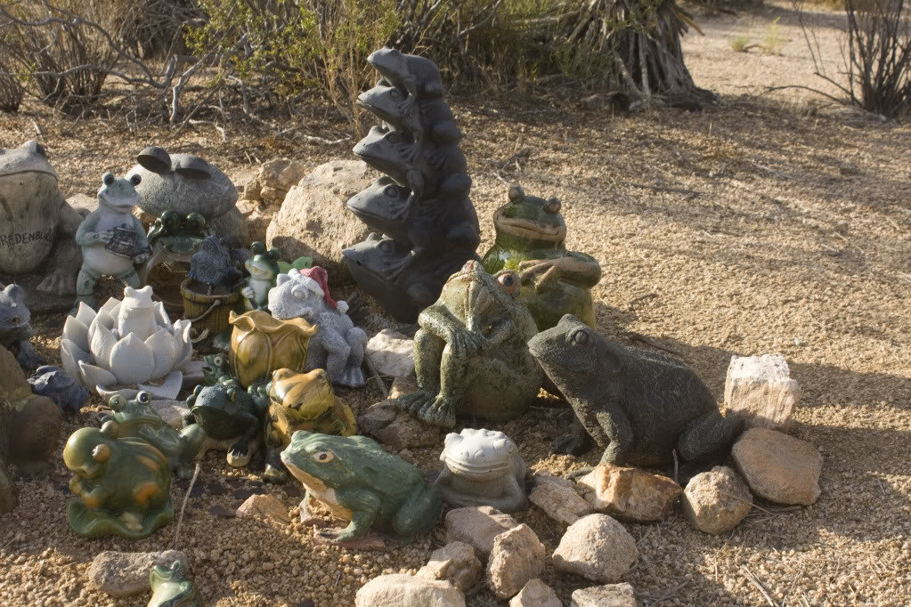 Mojave-Run_09162011_094_8995c833c700ab0e9a3e5341a4890fdbc2c7d646.jpg